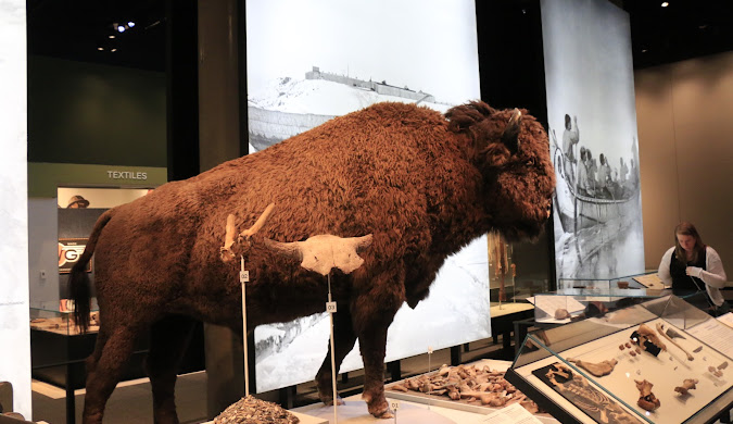 Royal Alberta Museum