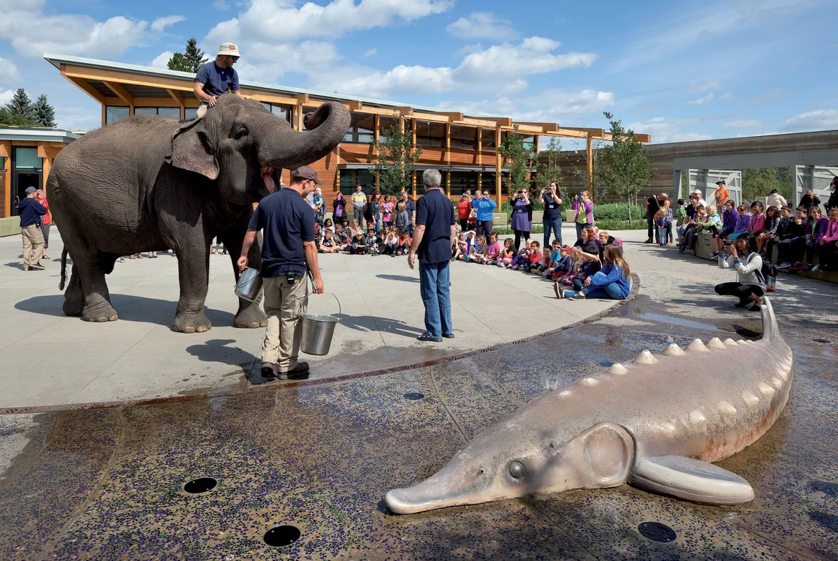 Edmonton Valley Zoo